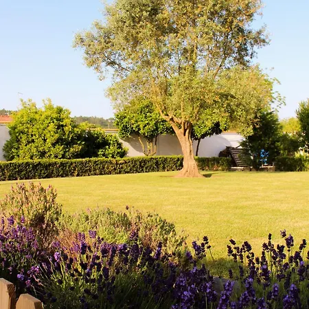 Agroturismo Casa Do Sol - - Nazaré Alcobaça Coz
